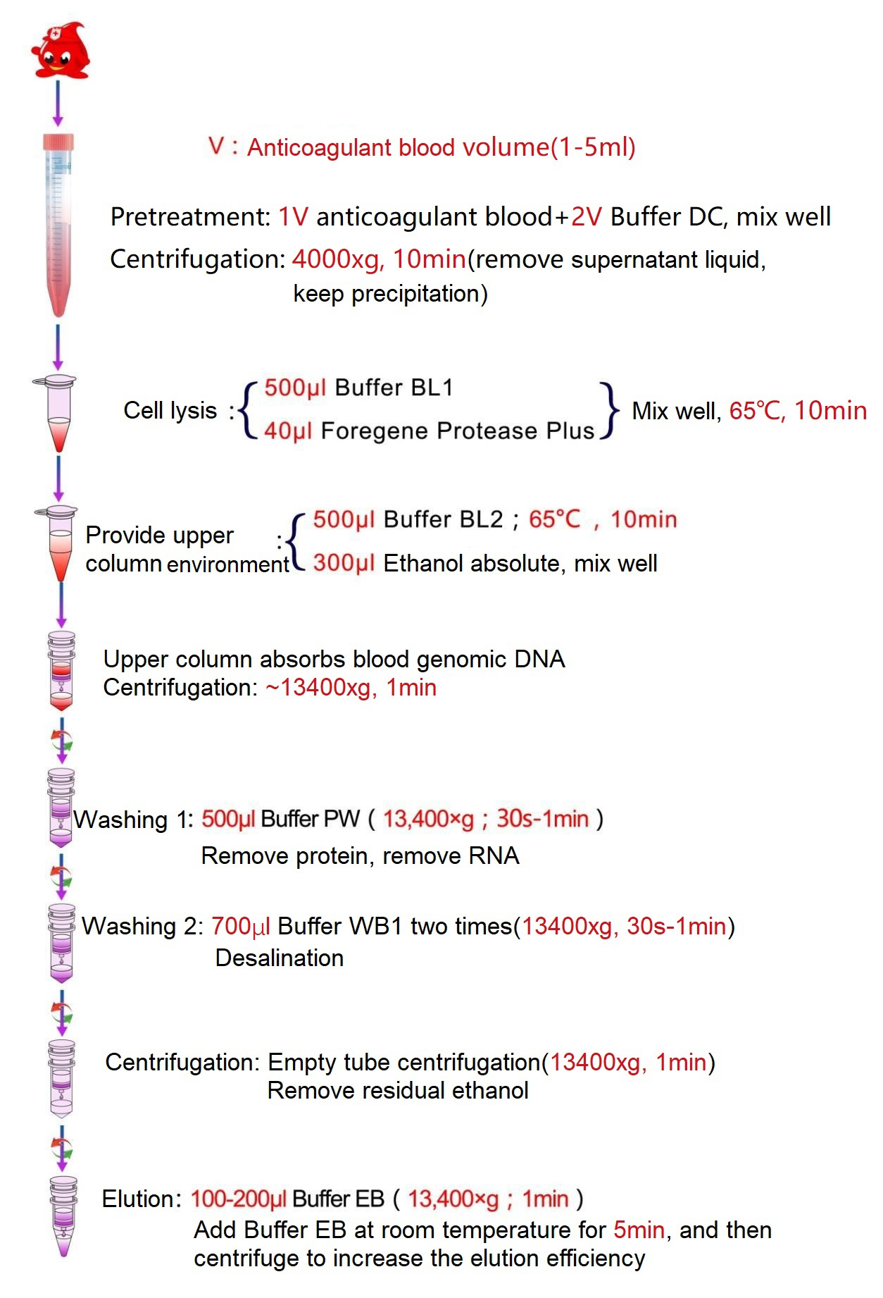 သွေး DNA Midi Kit (1-5ml)