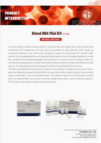 Mini kit de ADN en sangre