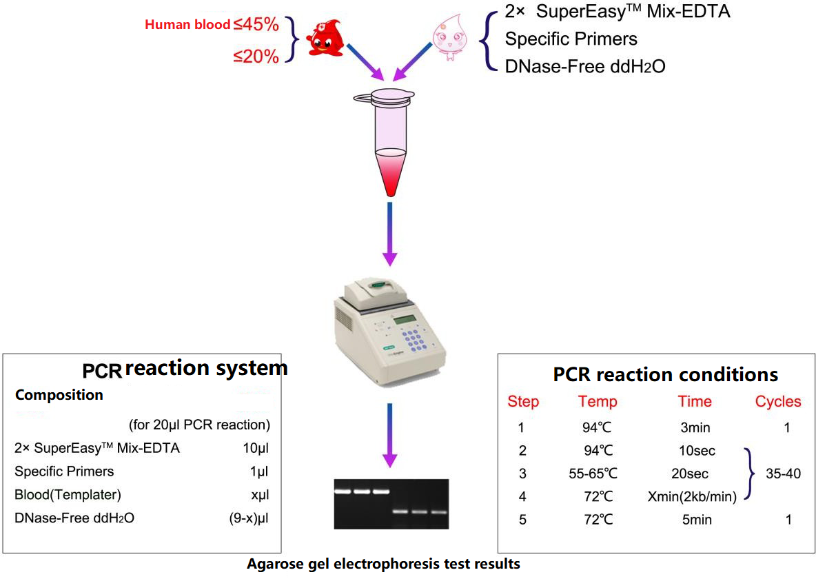 Blood SuperDirectTM PCR rinkinys-EDTA