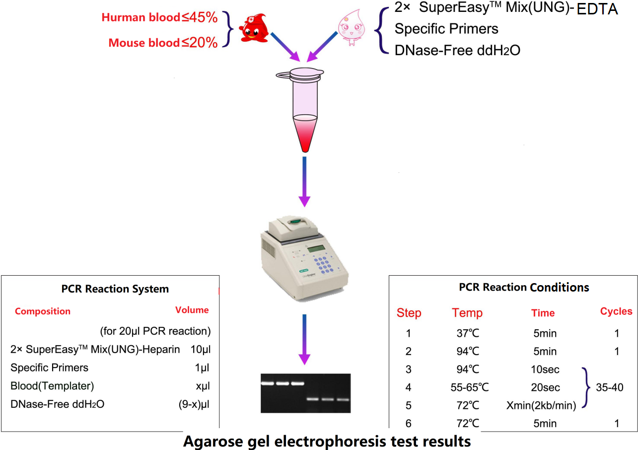 ಬ್ಲಡ್ ಸೂಪರ್ ಡೈರೆಕ್ಟ್ TM PCR ಕಿಟ್(UNG)-EDTA
