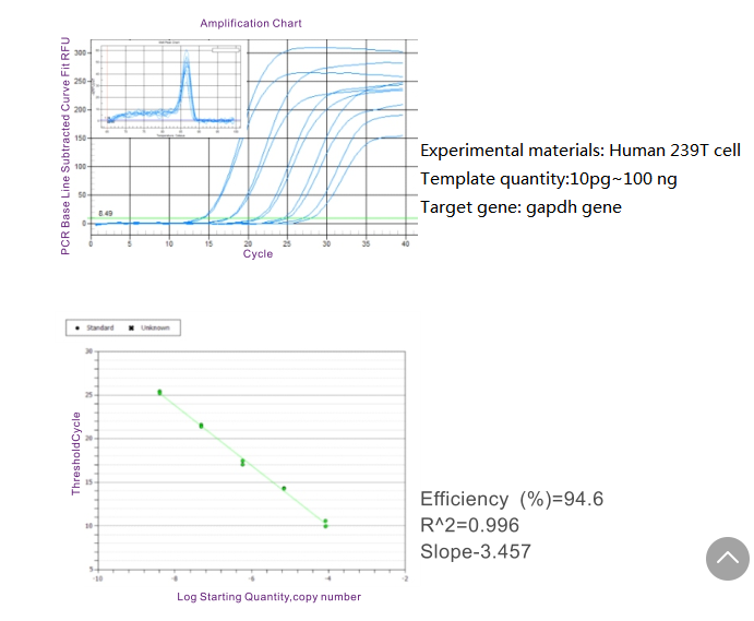 Cell Direct RT qPCR diagramm