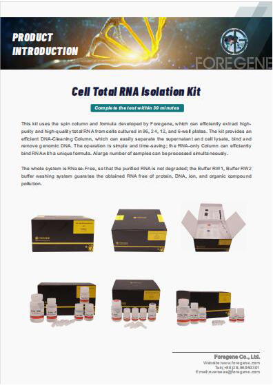 Zell Total RNA Isolatioun Kit