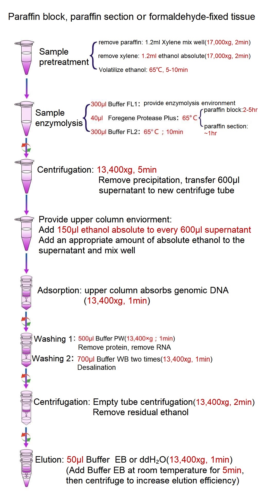 FFPE DNA einangrunarsett