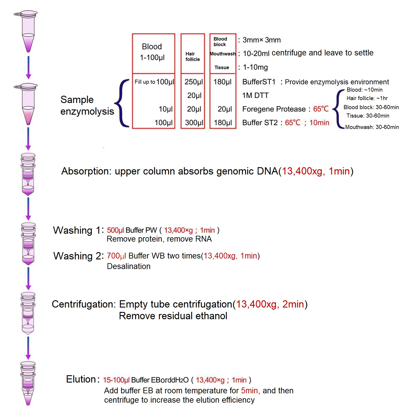Micro Kit di DNA Genomicu
