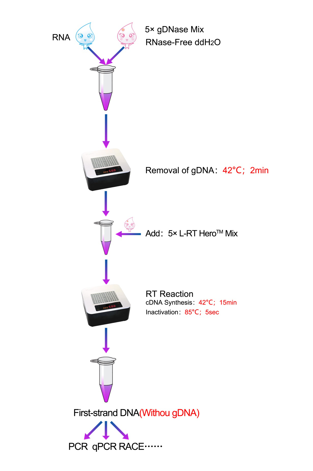 Lnc-RT HeroTM I (Kun gDNazo) (Super Premix por unua-fadena cDNA sintezo de lncRNA)