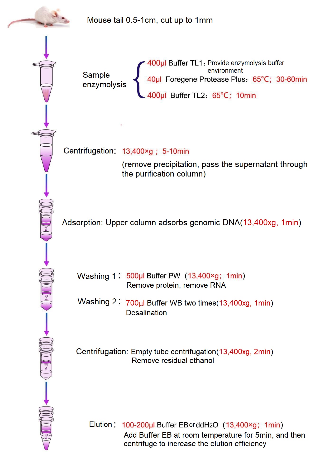 Мини-набор ДНК хвоста мыши