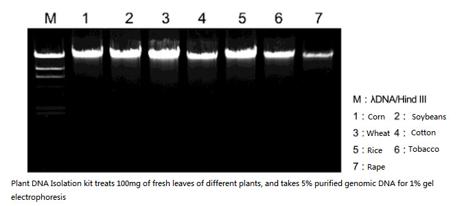 Набор для выделения ДНК растений3