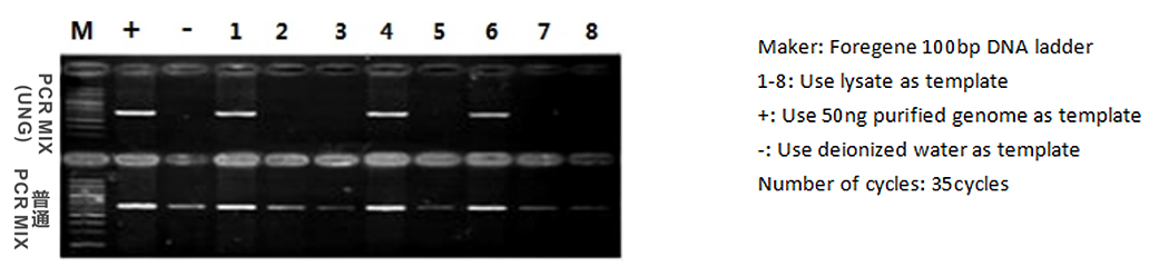 Plantсемлек яфрагы туры PCR комплекты-UNG5