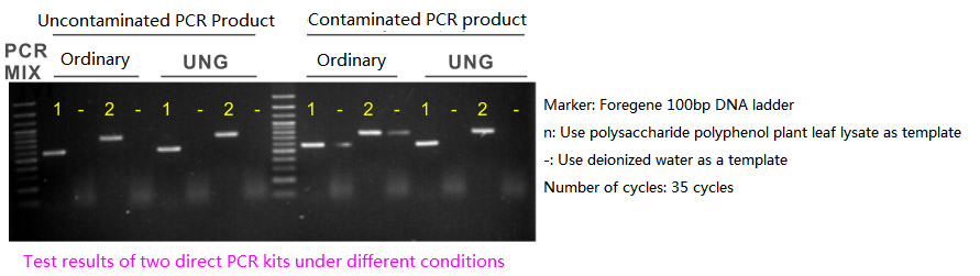 پلانٹ لیف ڈائریکٹ PCR Plus Kit-UNG5