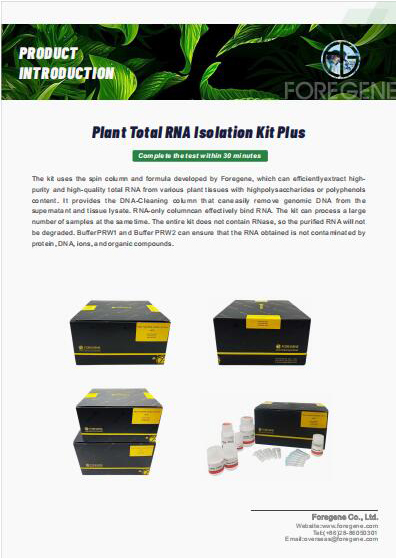 Plant Total RNA isolation kit Plus