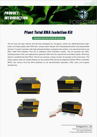 Kit d'isolement d'ARN total de plantes