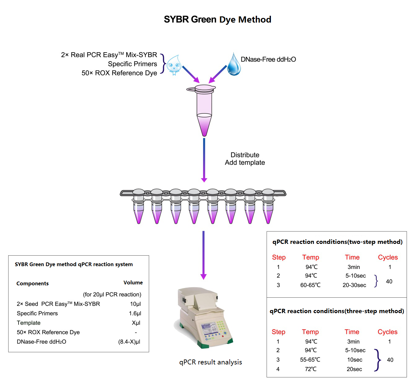 I-RT PCR-SYBR