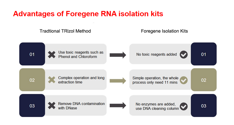 Qhov zoo ntawm foregene RNA Isolation kit