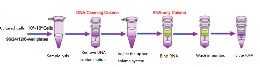 hücre toplam RNA'sı