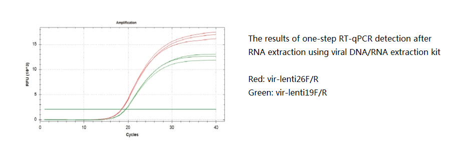 viralt DNA RNA