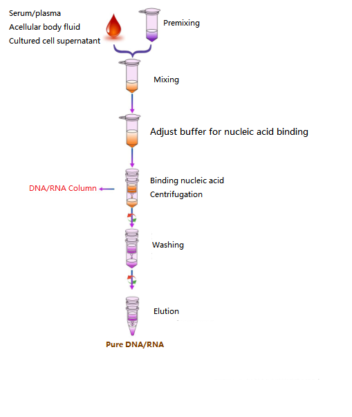 i-viral DNA kanye ne-RNA isolation kit-SIMPLE WORKFLOW