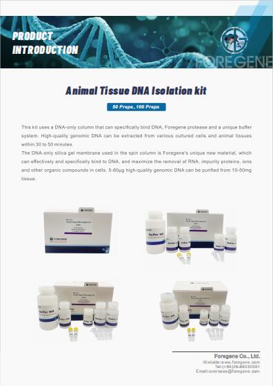 Animal Tissue DNA Isolation kit