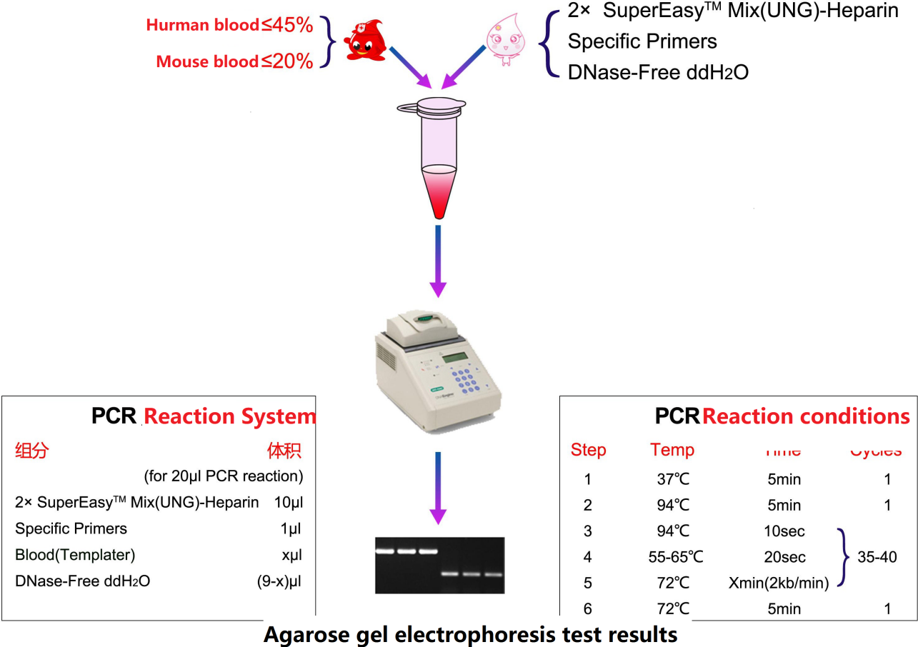 Blood SuperDirectTM PCR Kit(UNG)-Heparin