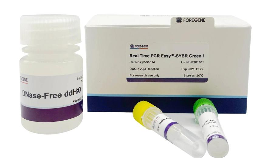 Qedela idizayini yokuqala ye-PCR kanye6
