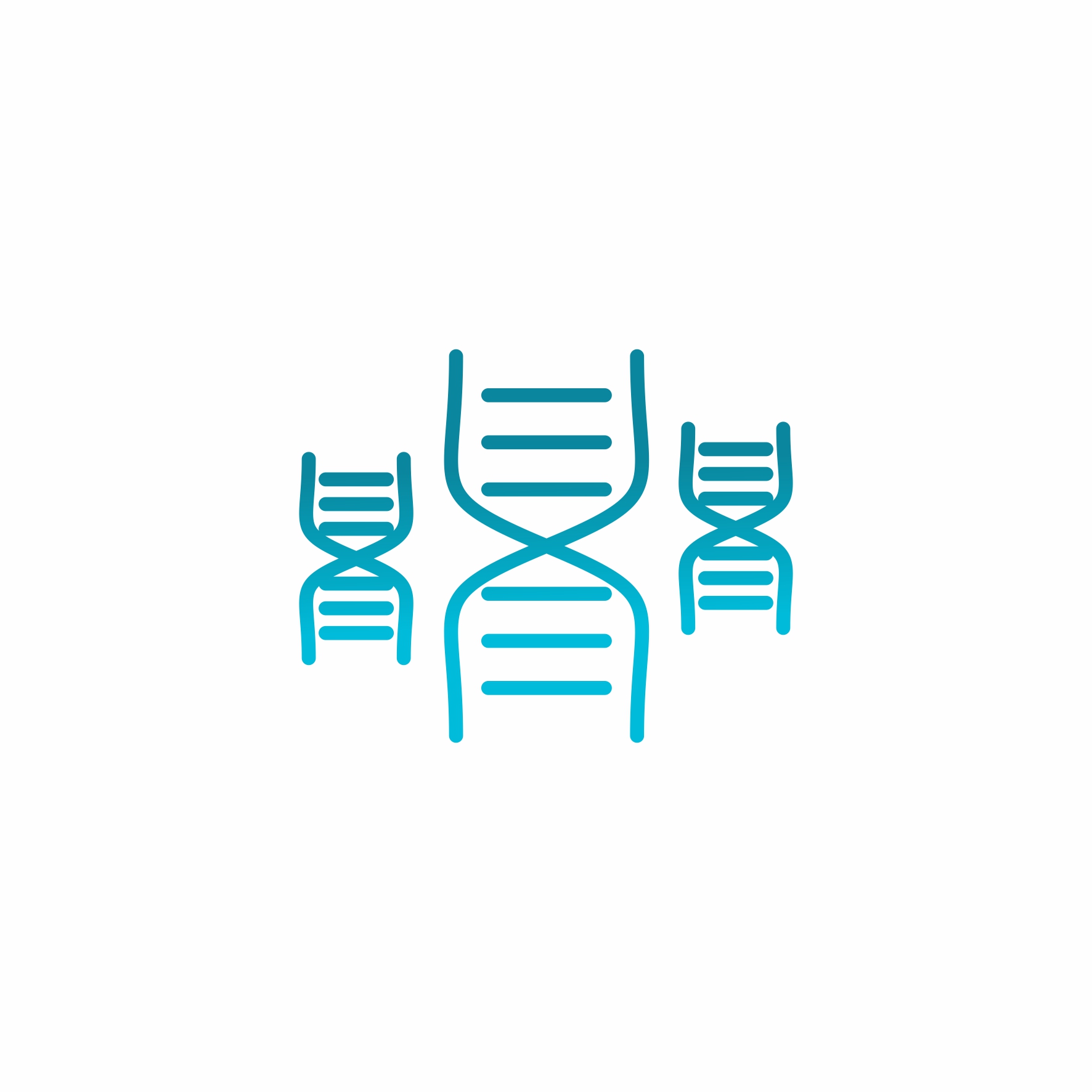 PCR RT-PCR Series
