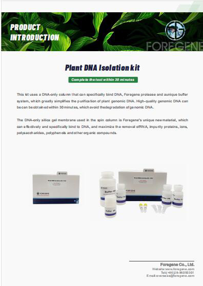 Plant DNA isolation kit