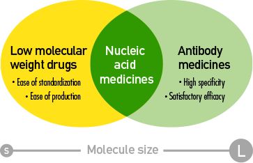 What is nucleic acid drugs1