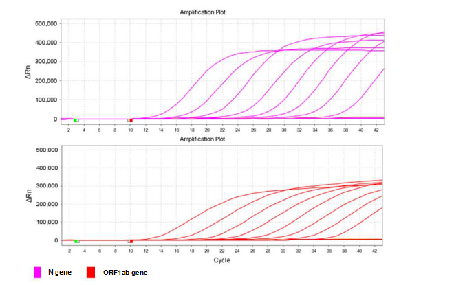 amplification curve-RT-qPCR